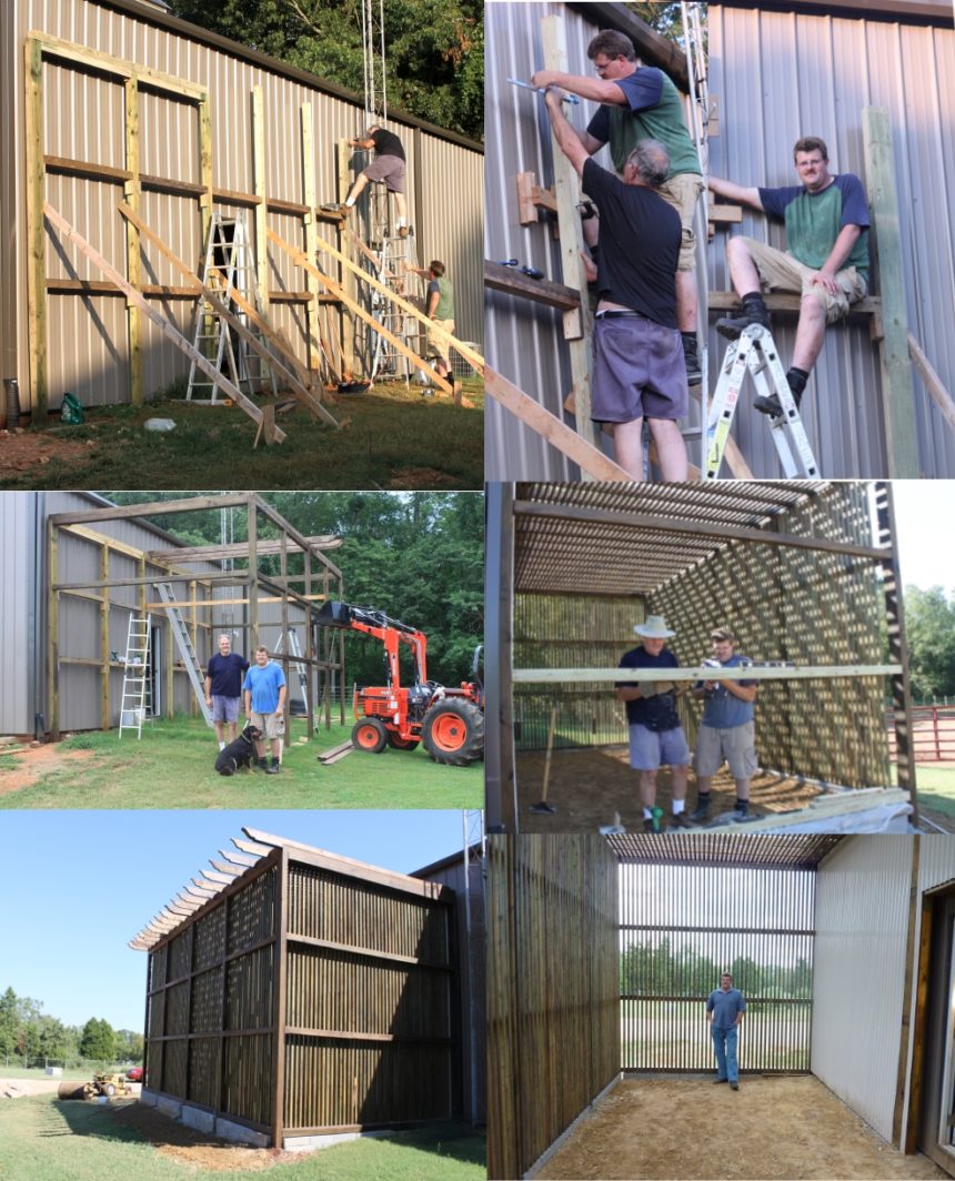 Construction Raptor Maximus’ Story – Rise Raptor Project