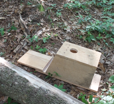 NestBox – Rise Raptor Project